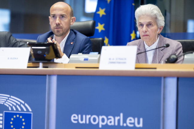 MEPs Borys Budka and Marie Strack-Zimmerman at the joint ITRE/SEDE meeting