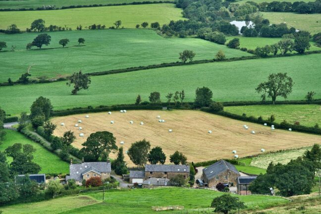 green fields, the cornestone of EU CAP