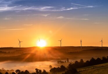 Expansion of renewables helps to reduce carbon emissions