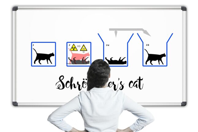 blackboard depicting story of Schrodinger's cat