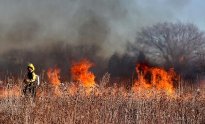 Wildfires are becoming more and more frequent in Europe