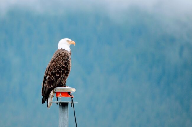On watch
