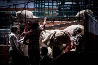 labourers in 3rd world