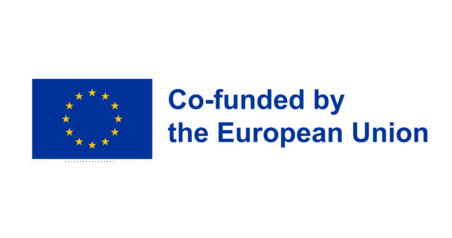 Co-funded by the European Union