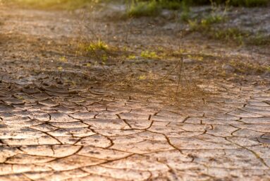 drought