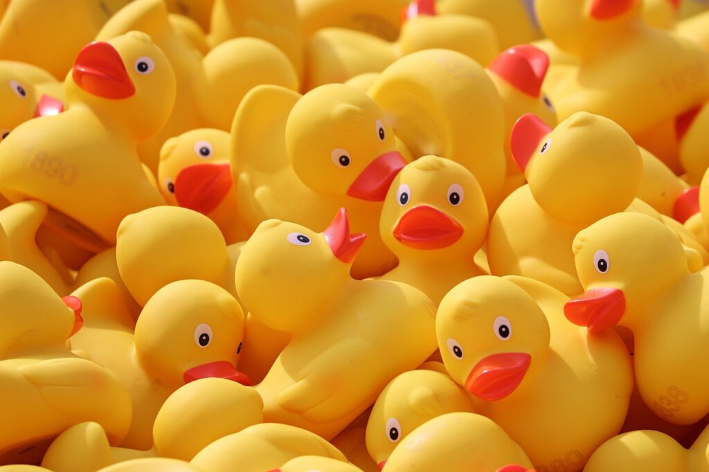 yellow rubber ducks