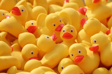 yellow rubber ducks