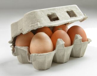 eggs