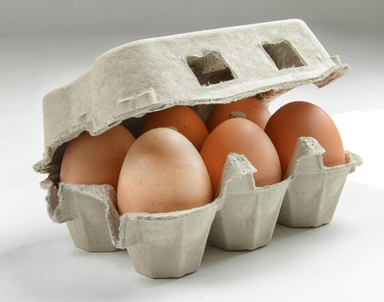 eggs