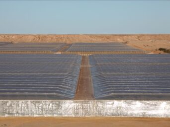 Newly established agricultural hub near Dakhla, Western Sahara