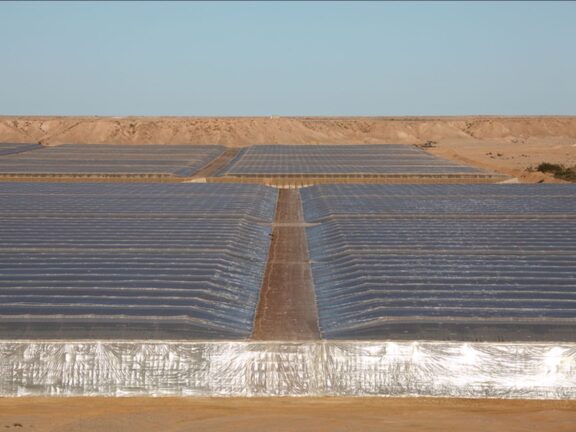 Newly established agricultural hub near Dakhla, Western Sahara