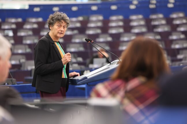 MEP Tineke Strik (Greens-EFA/NLD), rapporteur