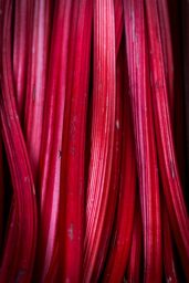 rhubarb fibers