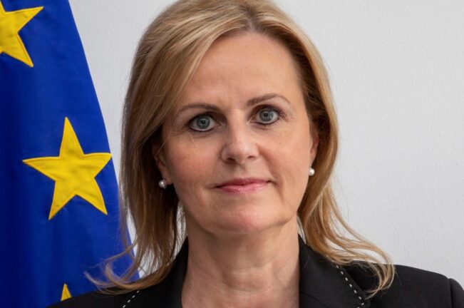 Florika Fink-Hooijer