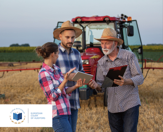 still life: farmers and tractor in cornfield and rooks
