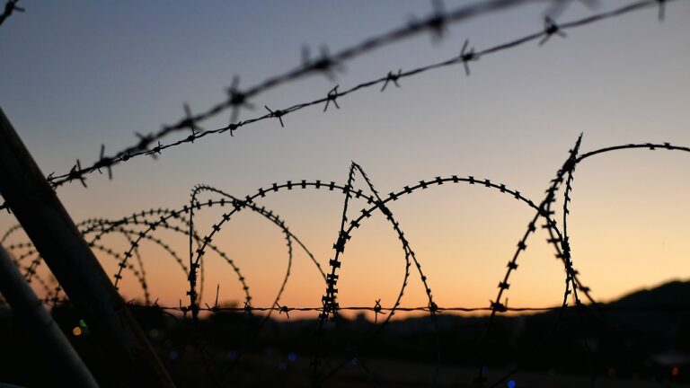 barbed wire
