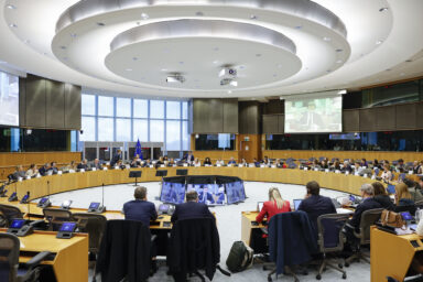 IMCO committee meeting with Jamie Raskin appearing on screen