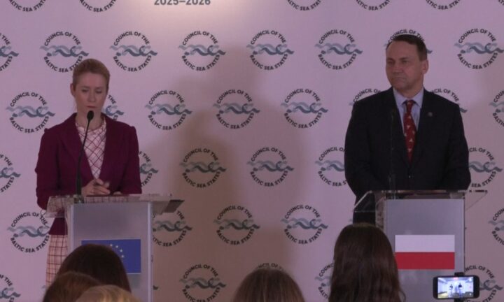 Kaja Kallas, Radek Sikorski