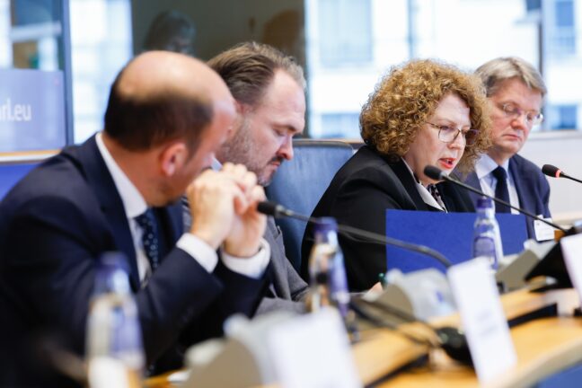 Members of the Energy Community Parliamentary Plenum seated at a panel in the European Parliament