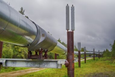 Oil pipeline stretching through a forested landscape under overcast skies