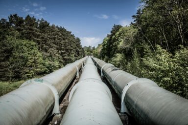 Large industrial pipelines running through a forest