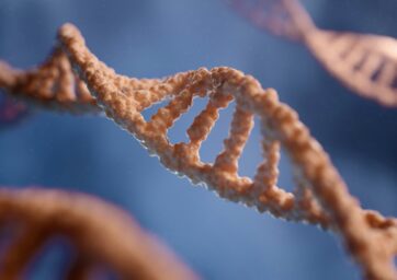 Close-up of a DNA double helix strand
