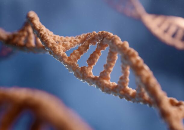 Close-up of a DNA double helix strand