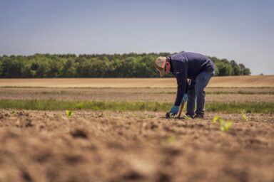 A farmer working in a field