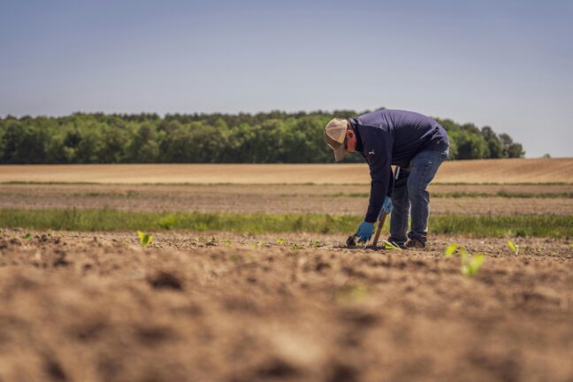 A farmer working in a field