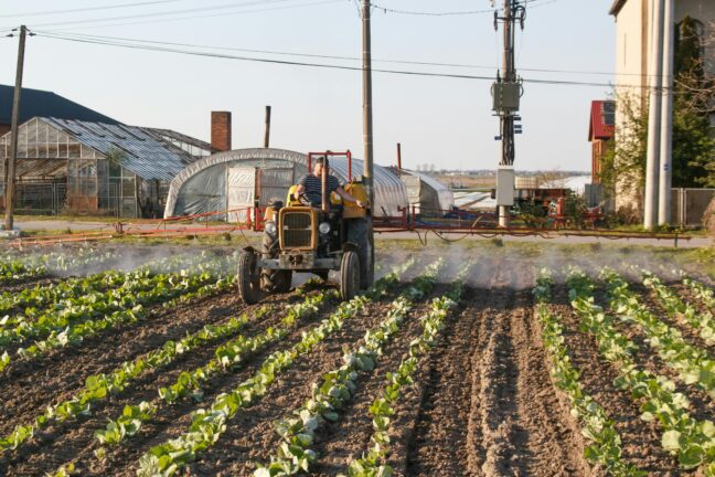 Farmer on a tractor spraying fertiliser on a field of young plants