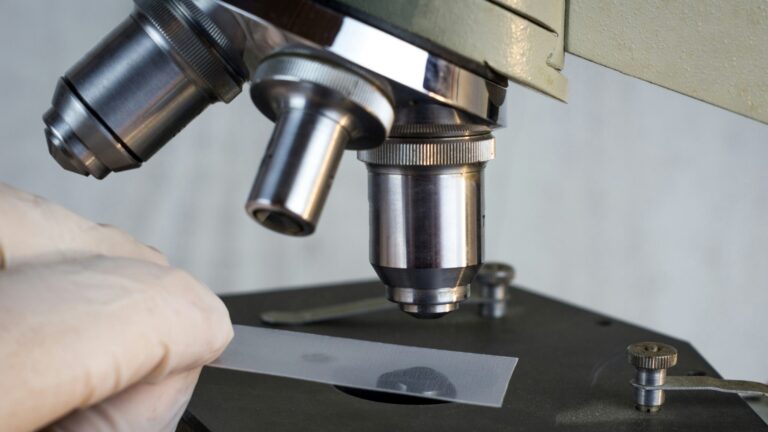 Close-up of a glass slide under a microscope