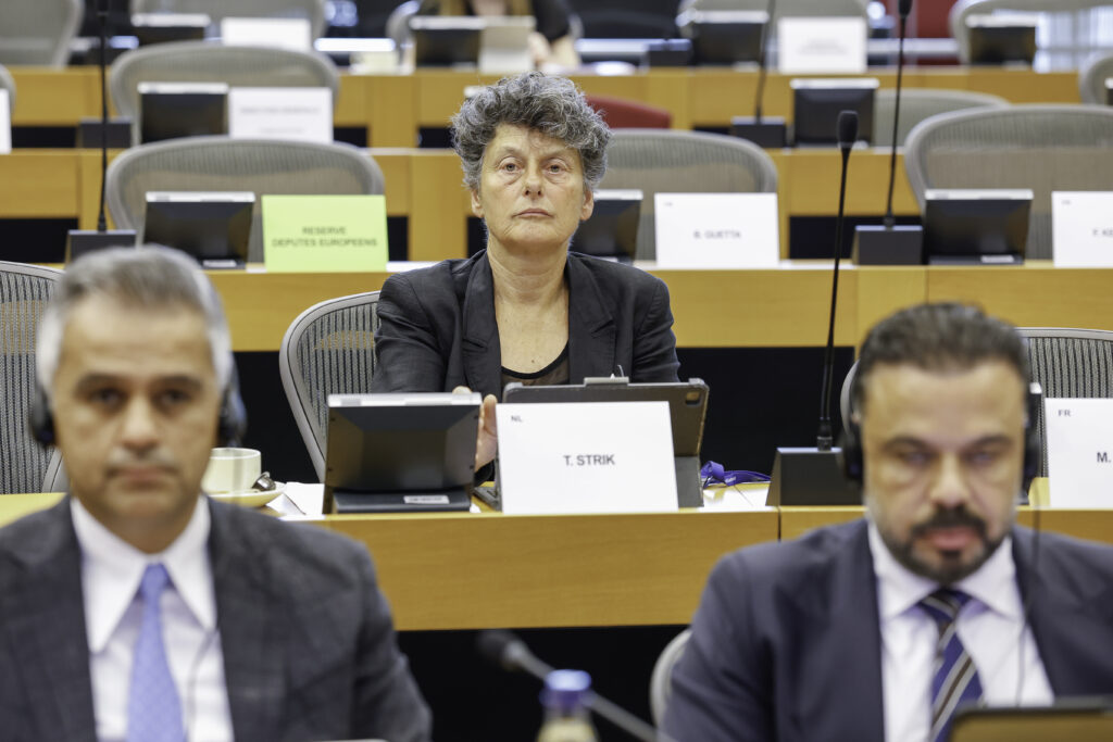  Tineke Strik