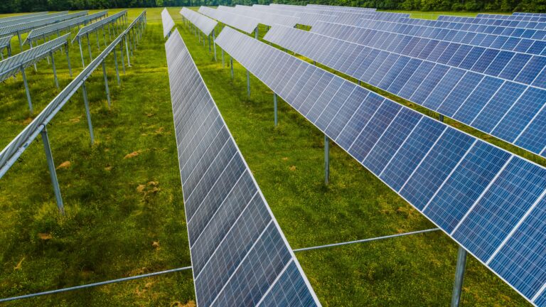 Rows of solar panels installed across a grassy field