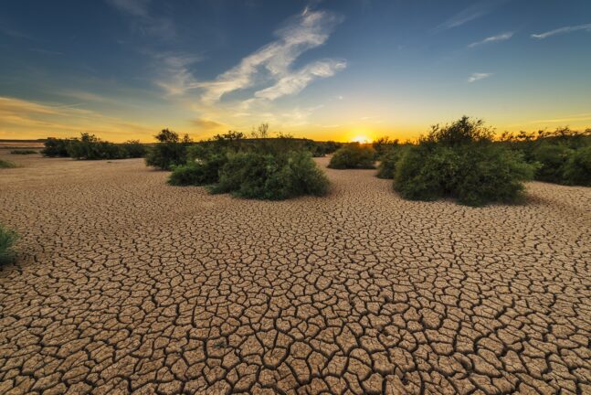 Andalusia desert