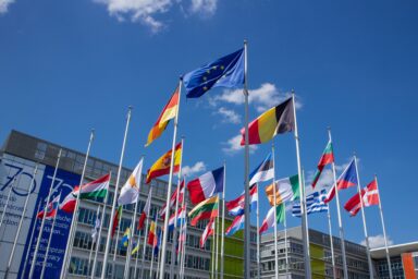 Flags of European Union member states on flagpoles against a blue sky, with the EU flag flying above them