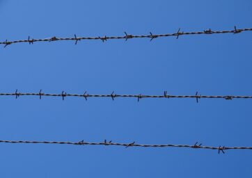 barbed wire fence
