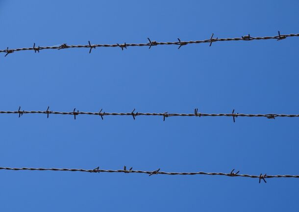 barbed wire fence