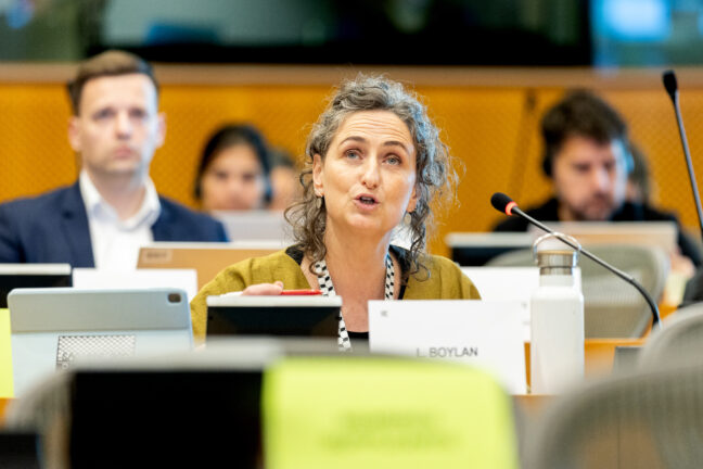 Lynn Boylan