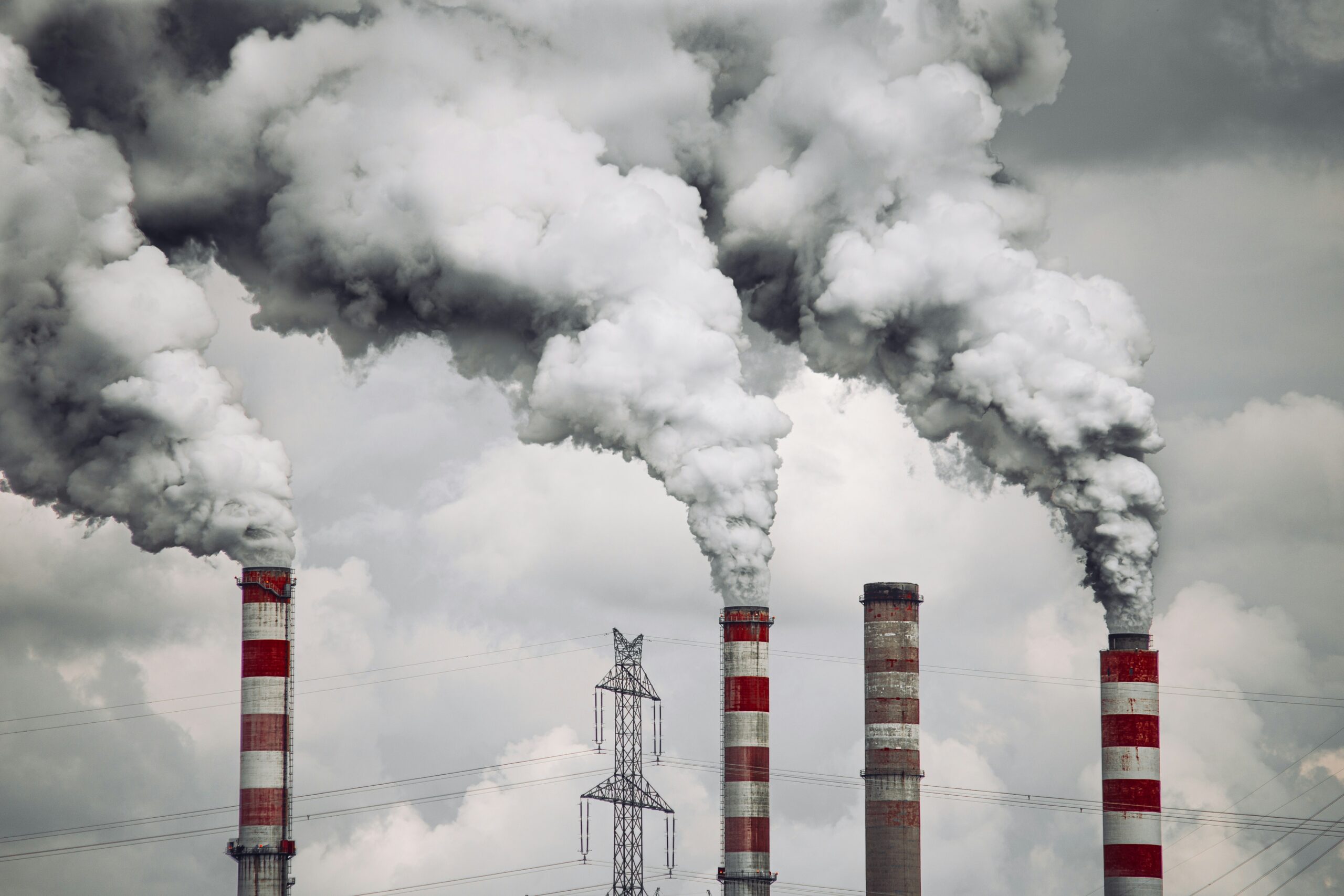 Parliament pushes competitiveness makeover for EU carbon market