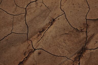 Close-up of dry, cracked earth