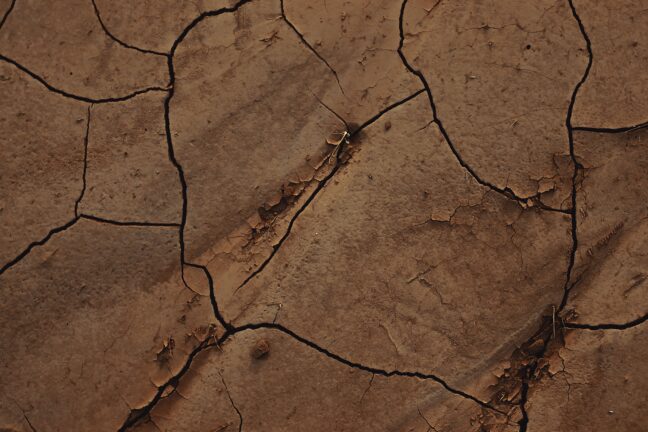 Close-up of dry, cracked earth