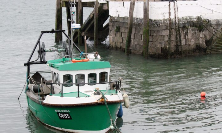 Europe wants a modern fishing fleet. Brussels warns against overfishing