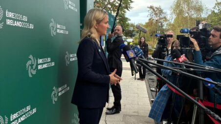helen mcentee, irish defence minister