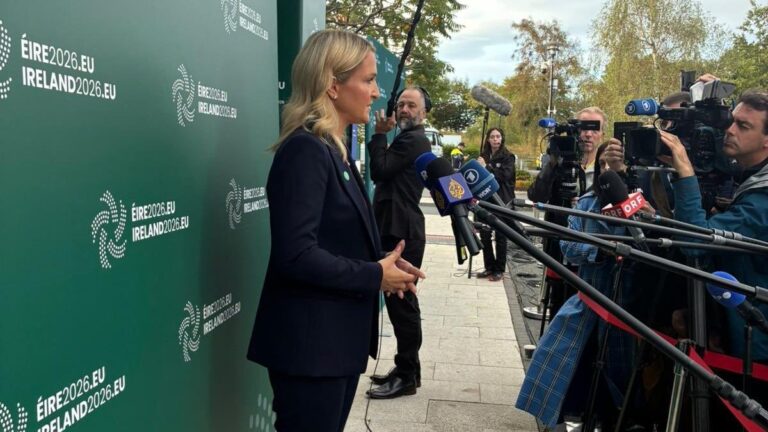 helen mcentee, irish defence minister
