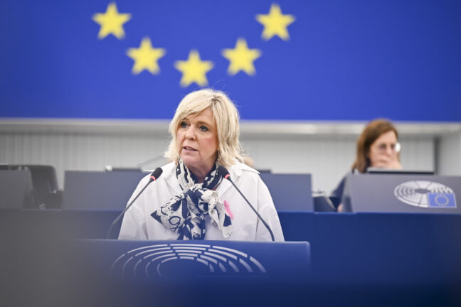 Hilde Vautmans in European Parliament