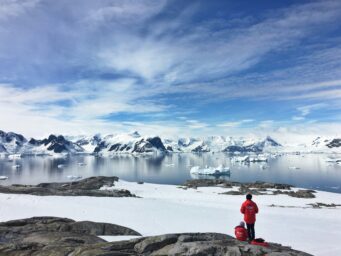 Arctic ice