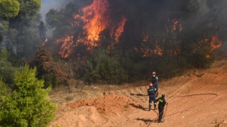 Firefighters battling a forest fire