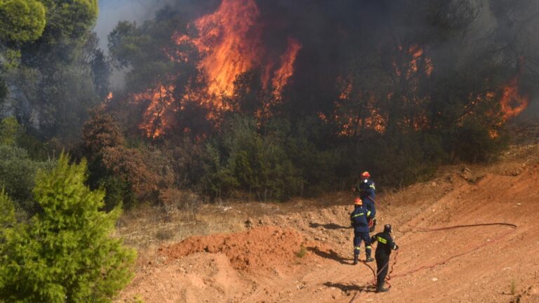Firefighters battling a forest fire