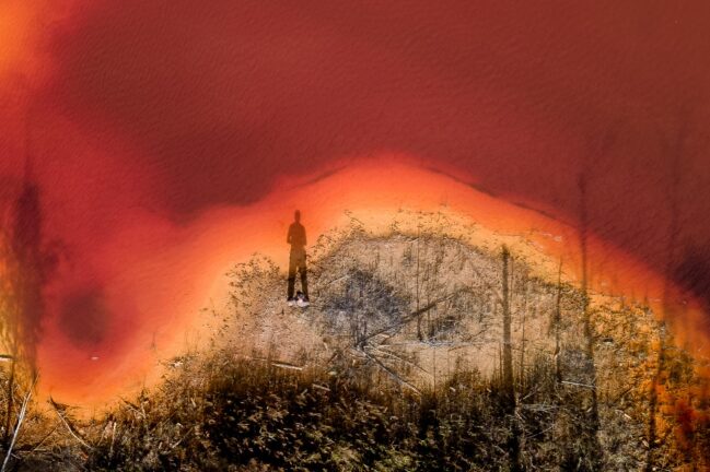 Aerial view of a forest surrounding a pond or river, with a lone person standing at the water’s edge