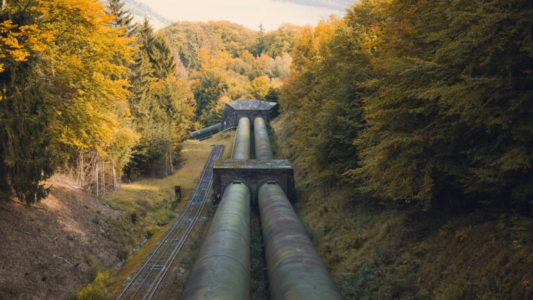 A gas pipeline running through an autumn forest